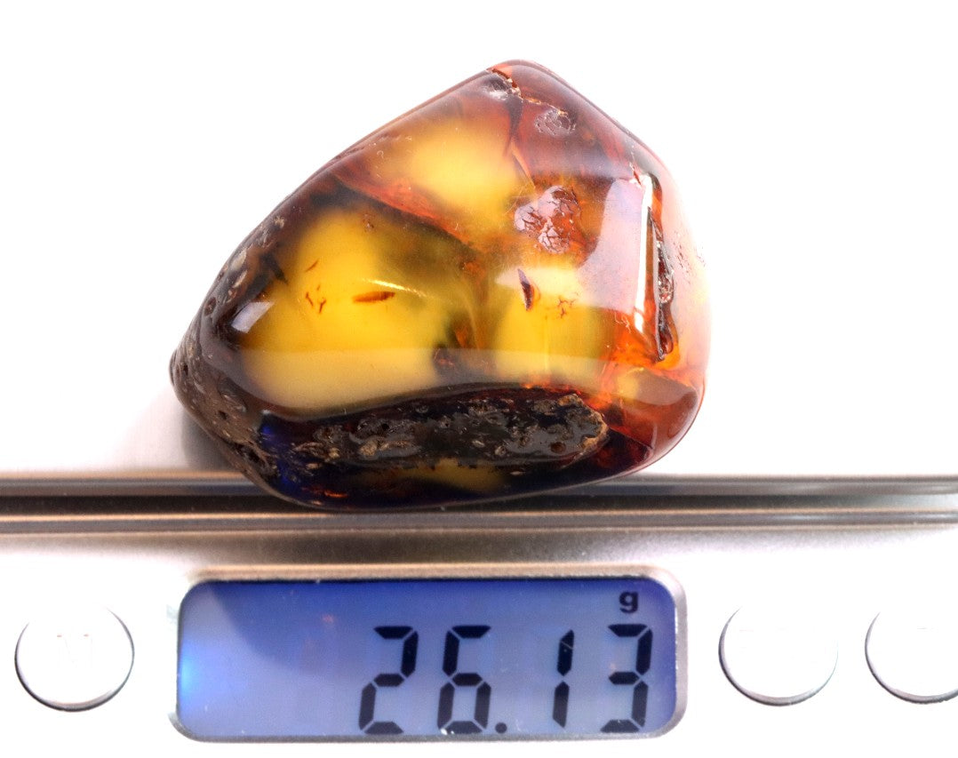 Unique Baltic Amber Gemstone Presentation Box Included