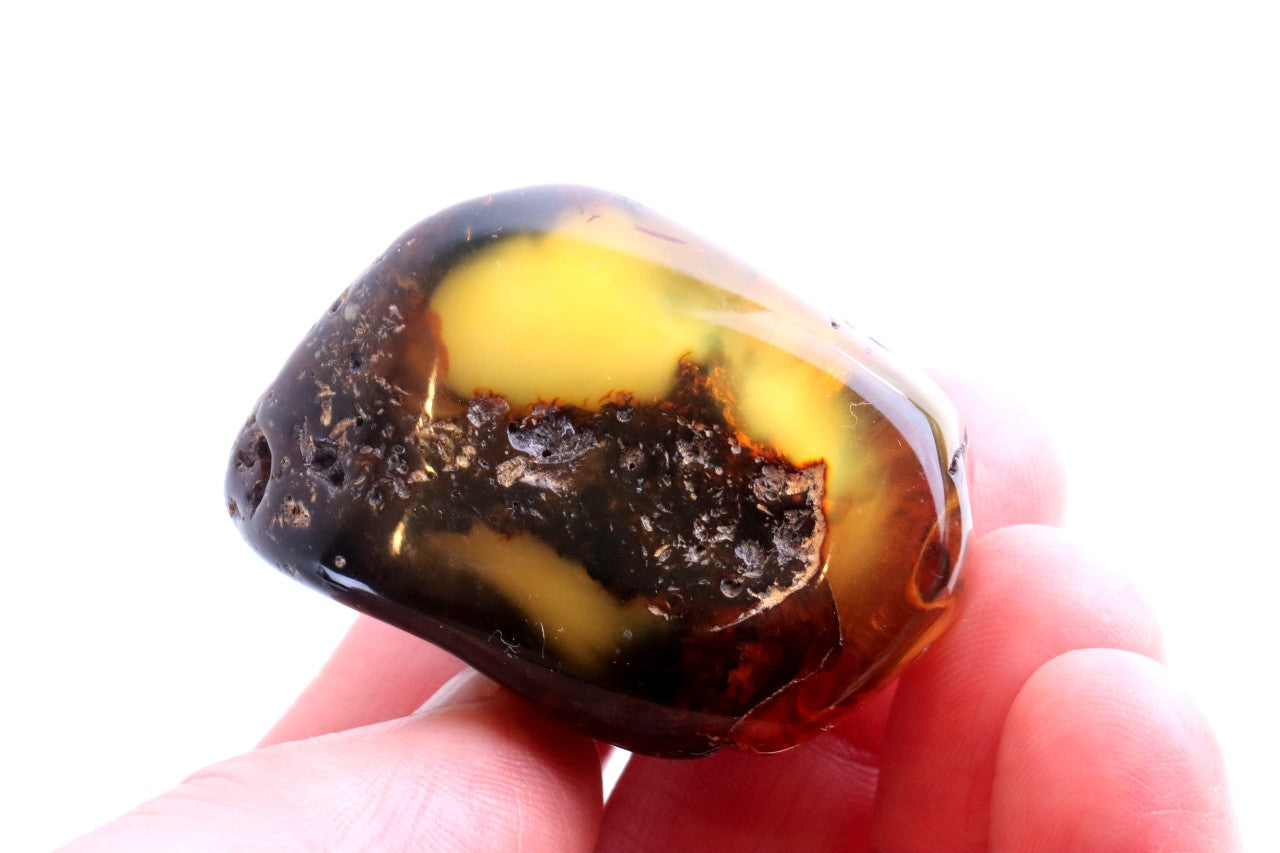 Unique Baltic Amber Gemstone Presentation Box Included