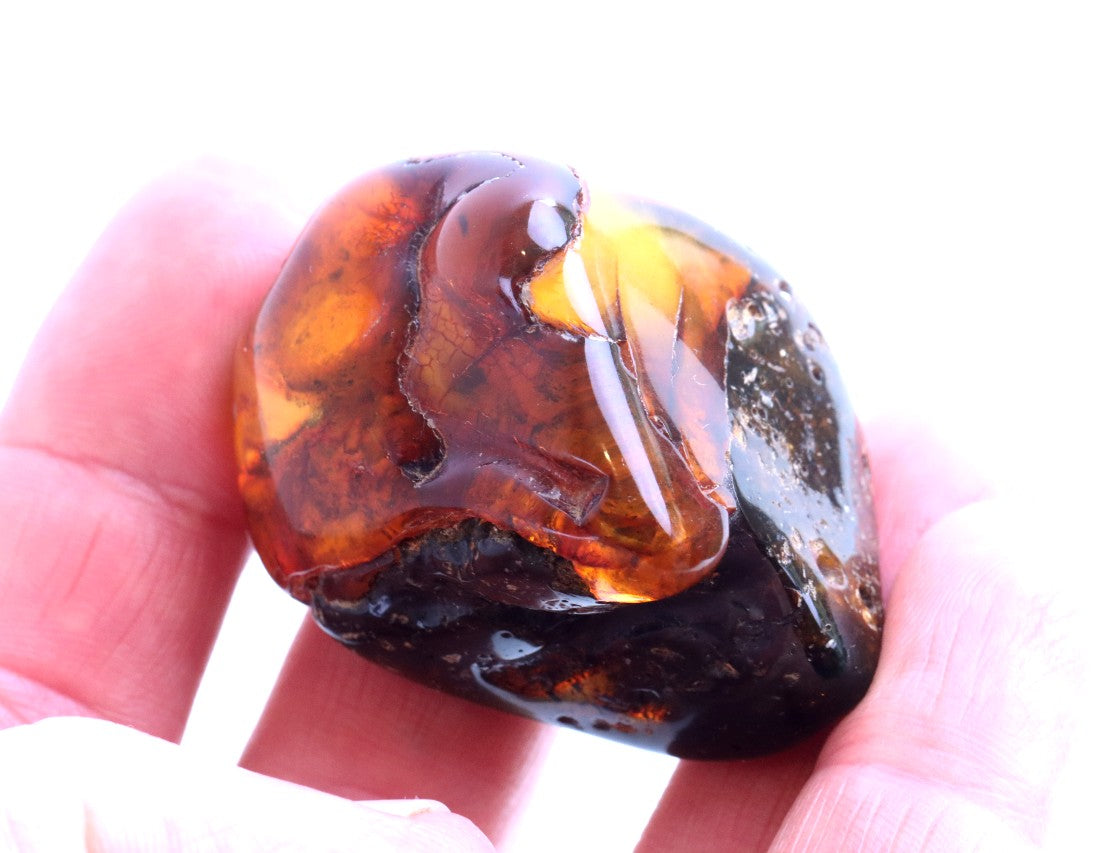 Unique Baltic Amber Gemstone Presentation Box Included