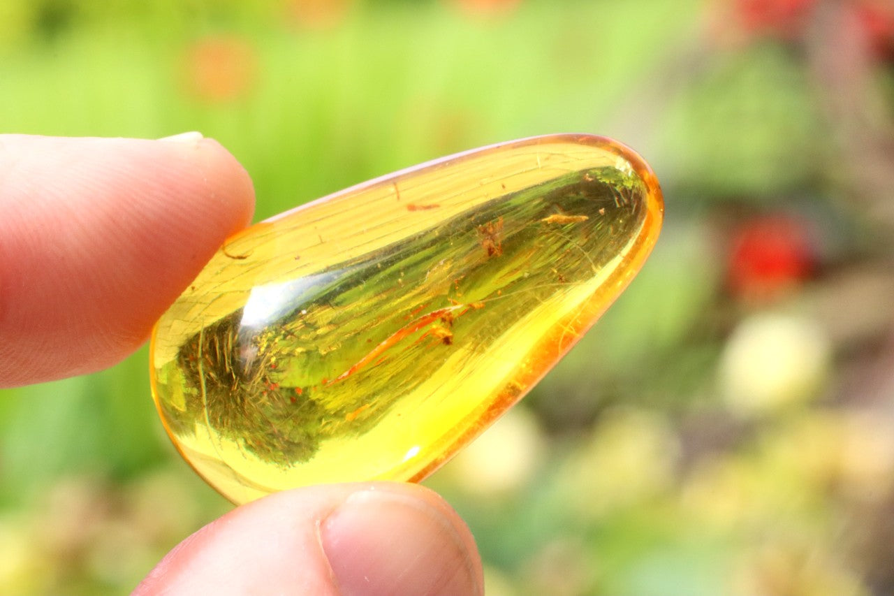 Exceptional Smooth Baltic Amber Gemstone