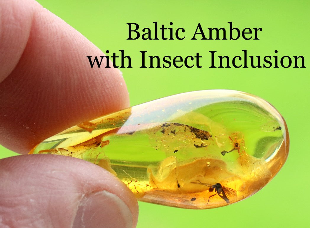 Authentic Fossil Amber Gem