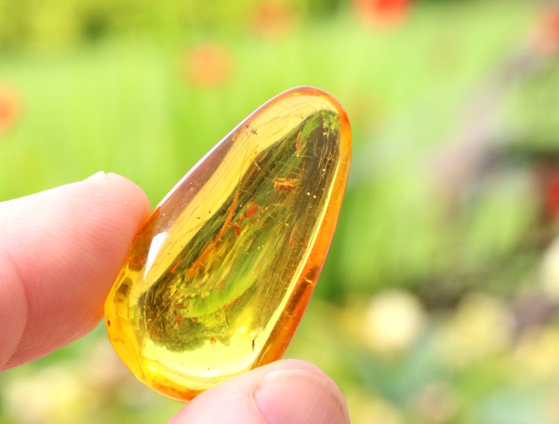 Exceptional Smooth Baltic Amber Gemstone