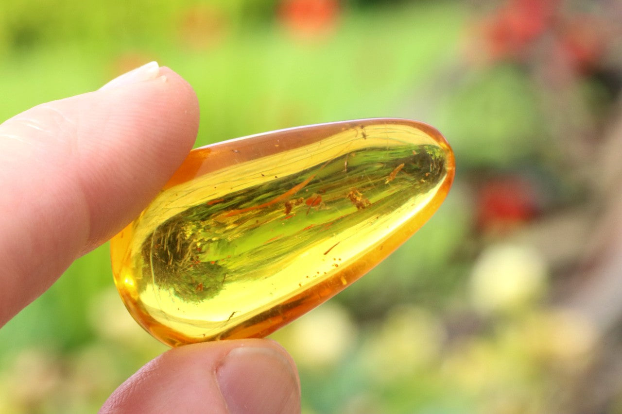 Exceptional Smooth Baltic Amber Gemstone