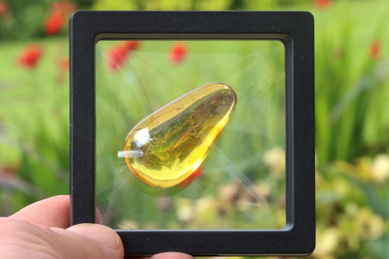 Exceptional Smooth Baltic Amber Gemstone