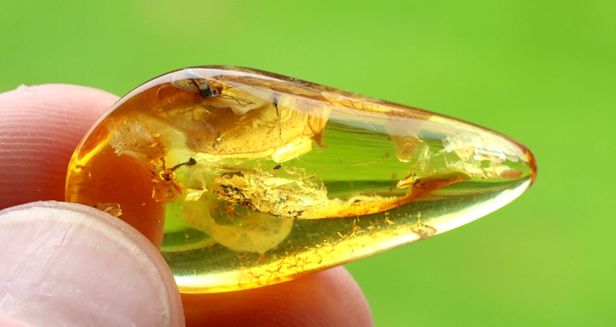 Authentic Fossil Amber Gem