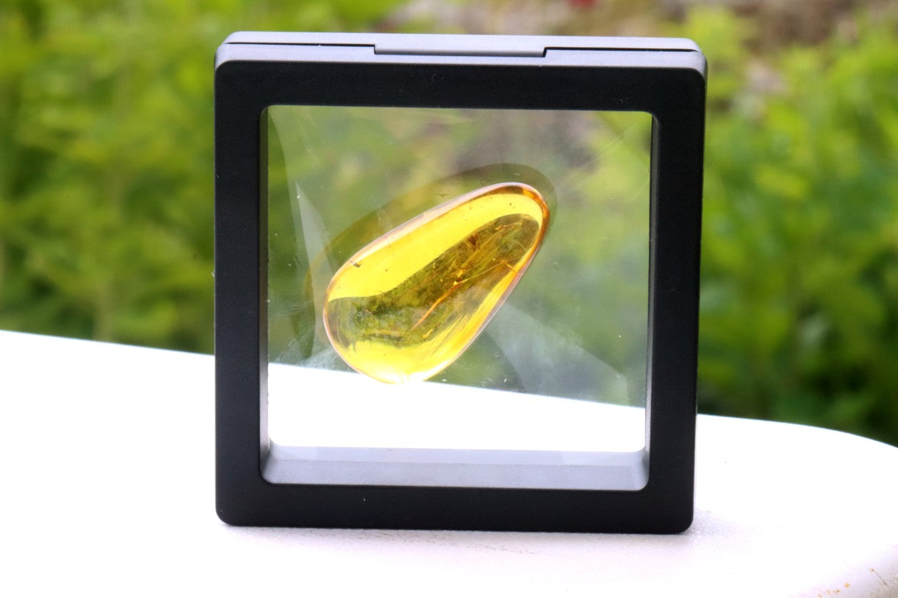Exceptional Smooth Baltic Amber Gemstone