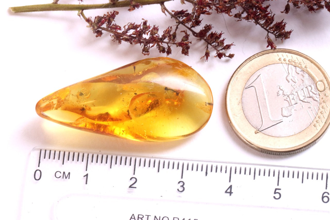 Authentic Fossil Amber Gem