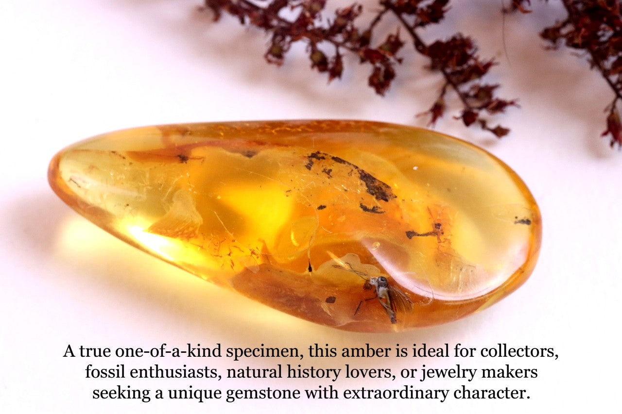 Authentic Fossil Amber Gem