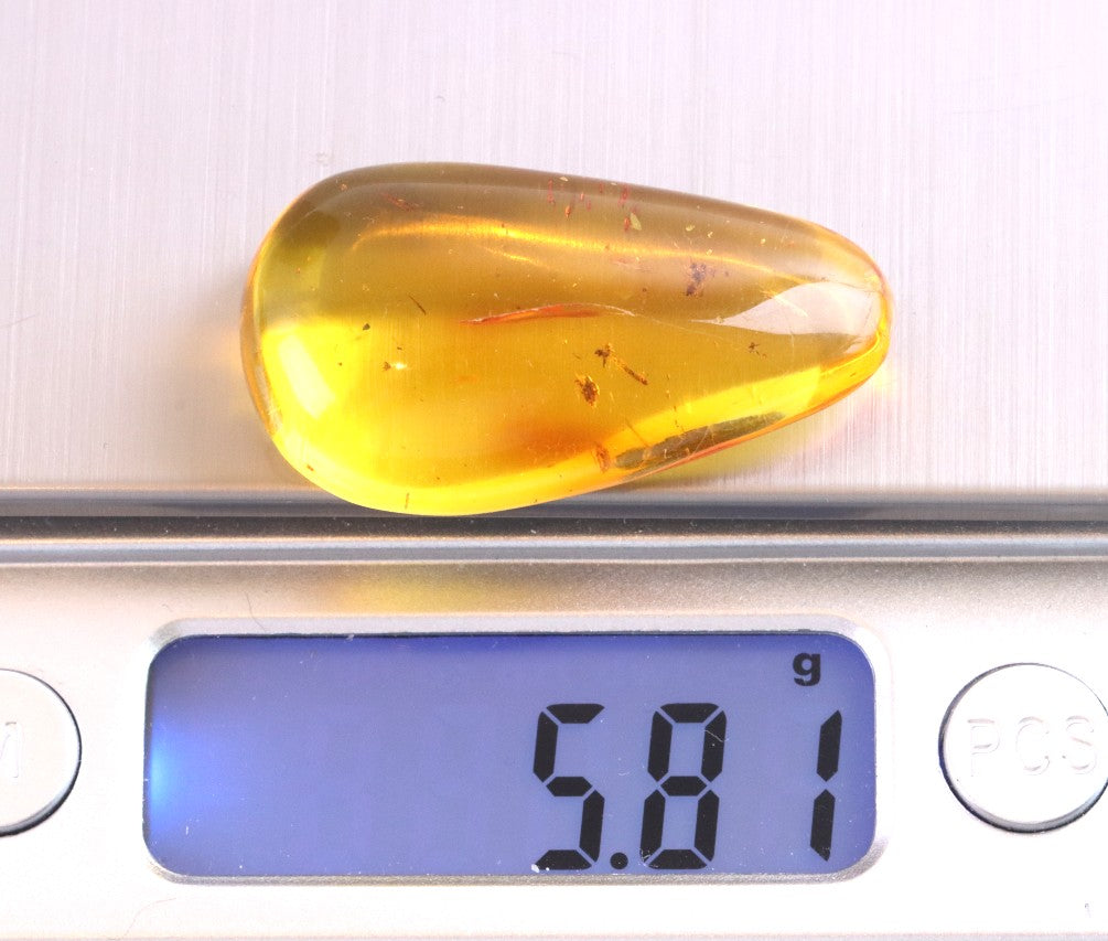 Exceptional Smooth Baltic Amber Gemstone