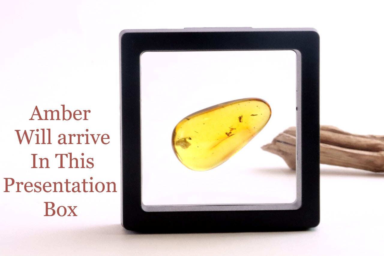 Exceptional Smooth Baltic Amber Gemstone