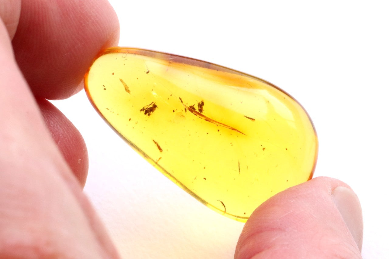 Exceptional Smooth Baltic Amber Gemstone
