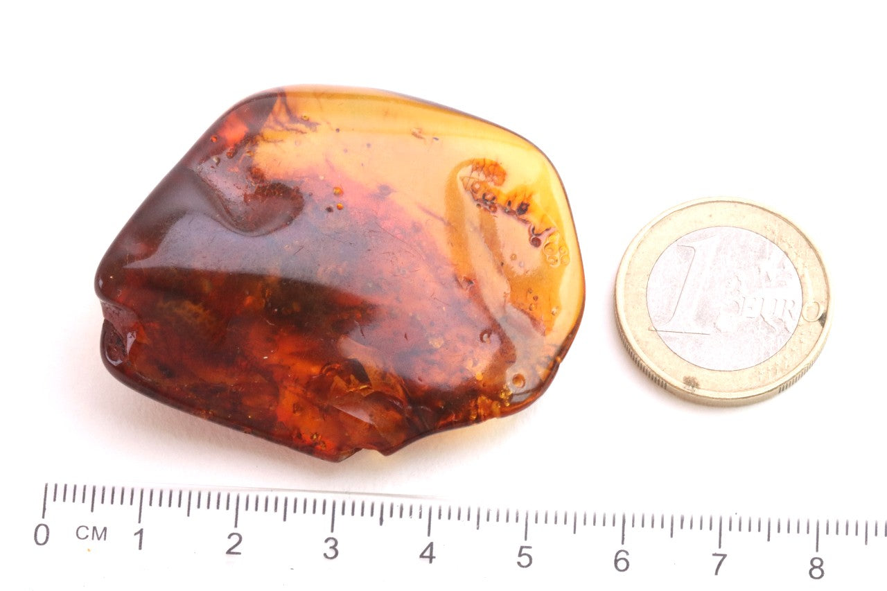 One-of-a-Kind Amber Gift – Presentation Box Included Presentation Box Included