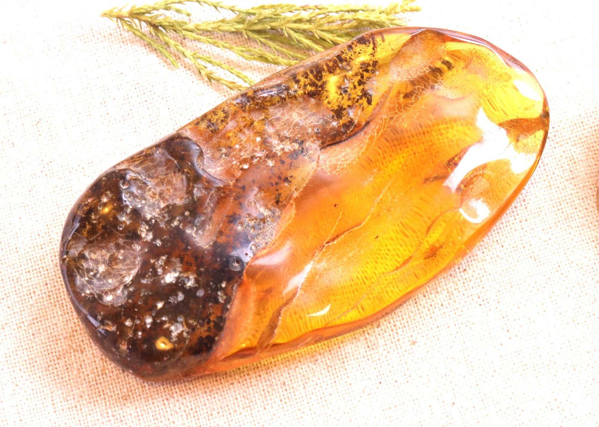 Unbelievable Natural Amber Gemstone 51.80g