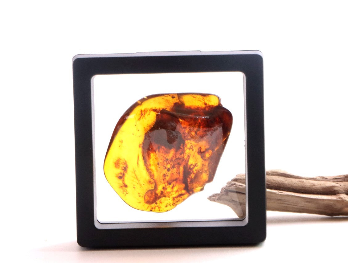 One-of-a-Kind Amber Gift – Presentation Box Included Presentation Box Included