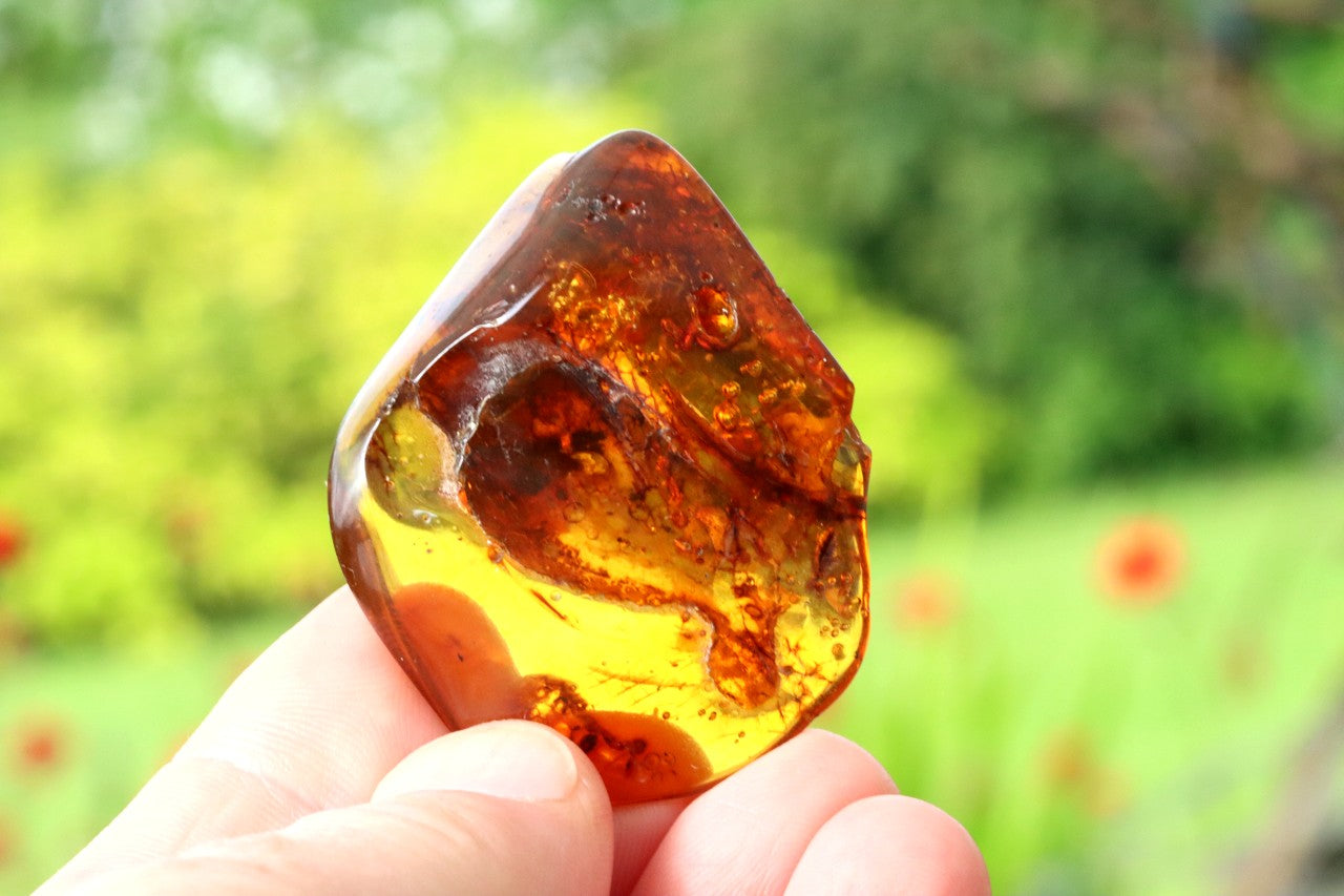 One-of-a-Kind Amber Gift – Presentation Box Included Presentation Box Included