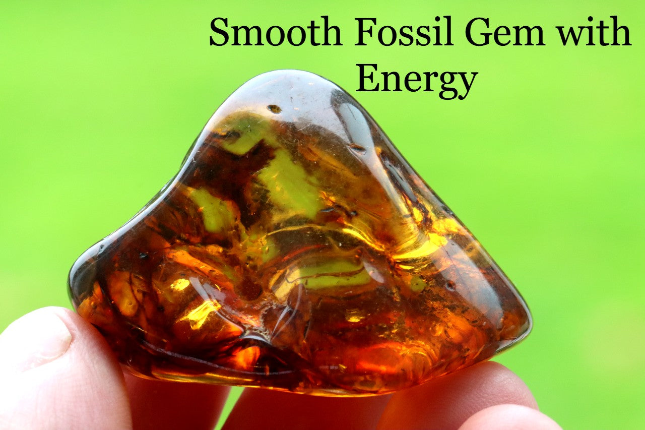 Smooth Fossil Gem with Energy Wellness