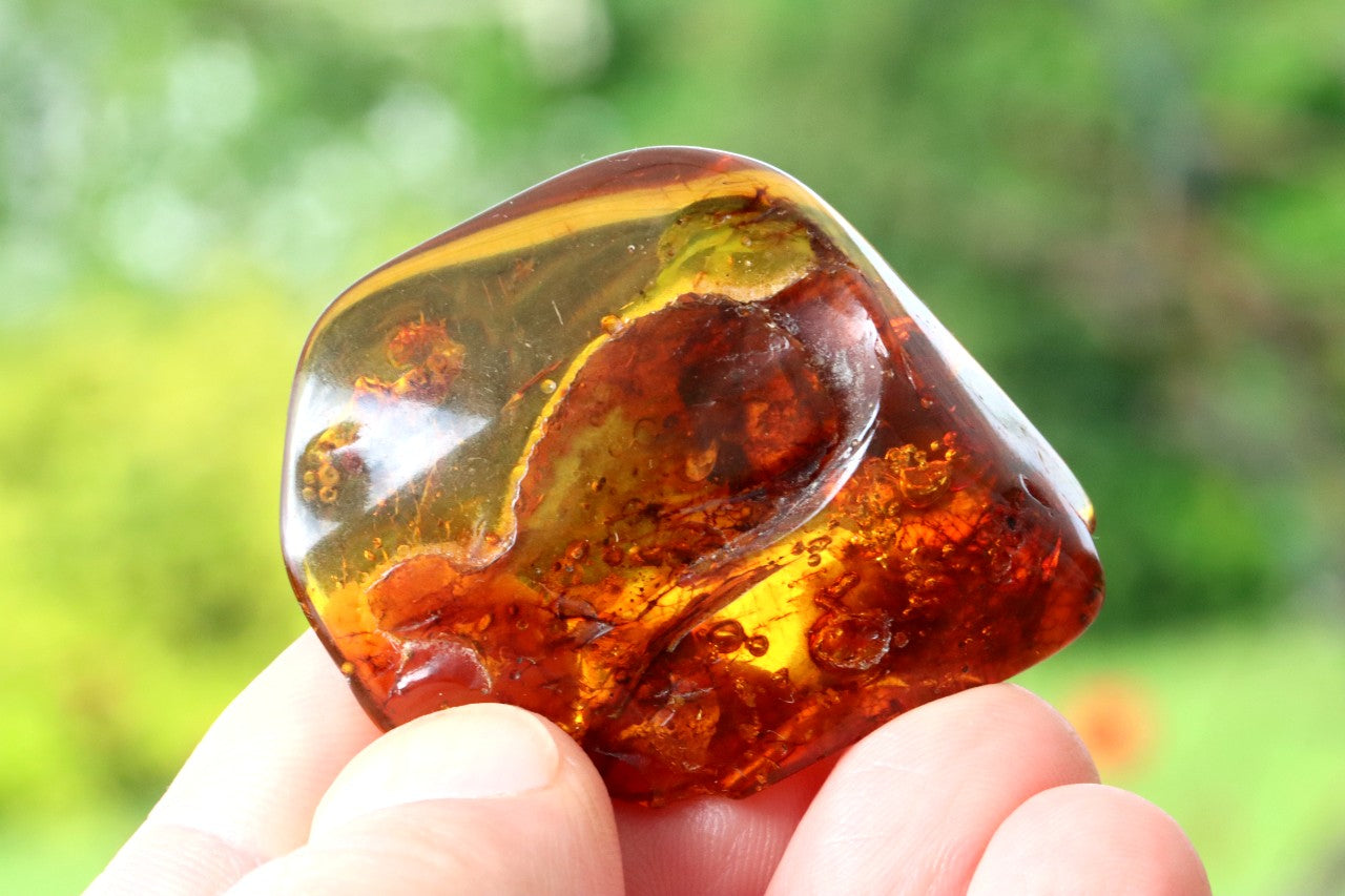 One-of-a-Kind Amber Gift – Presentation Box Included Presentation Box Included