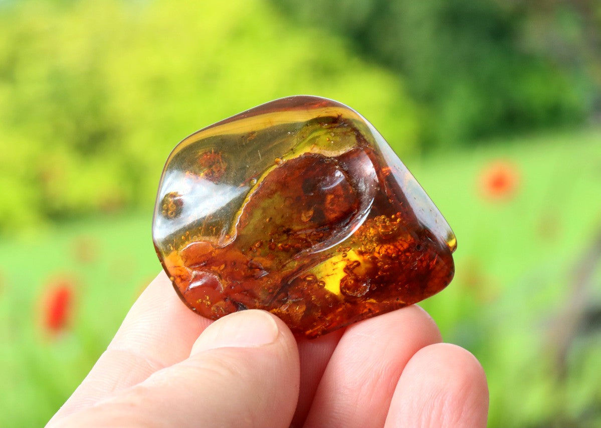 One-of-a-Kind Amber Gift – Presentation Box Included Presentation Box Included