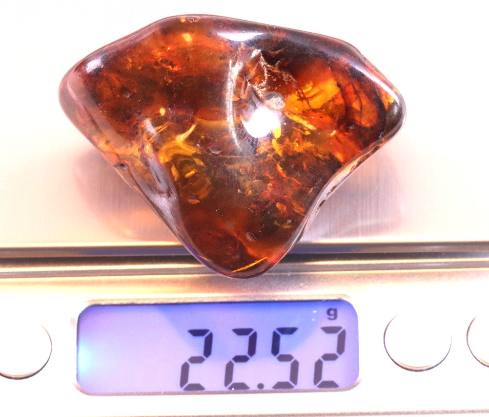 Smooth Fossil Gem with Energy Wellness