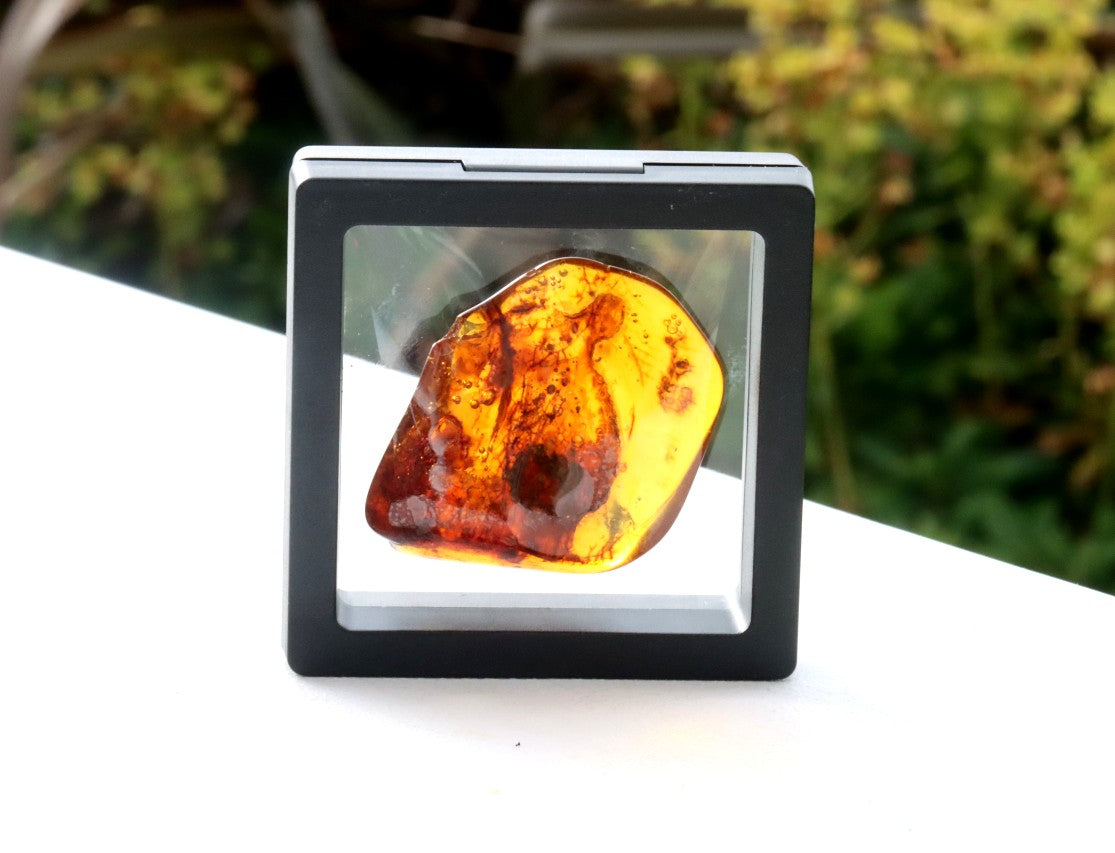 One-of-a-Kind Amber Gift – Presentation Box Included Presentation Box Included
