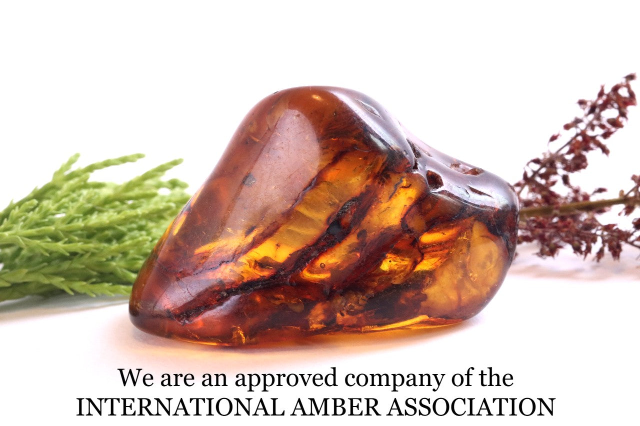 Smooth Fossil Gem with Energy Wellness