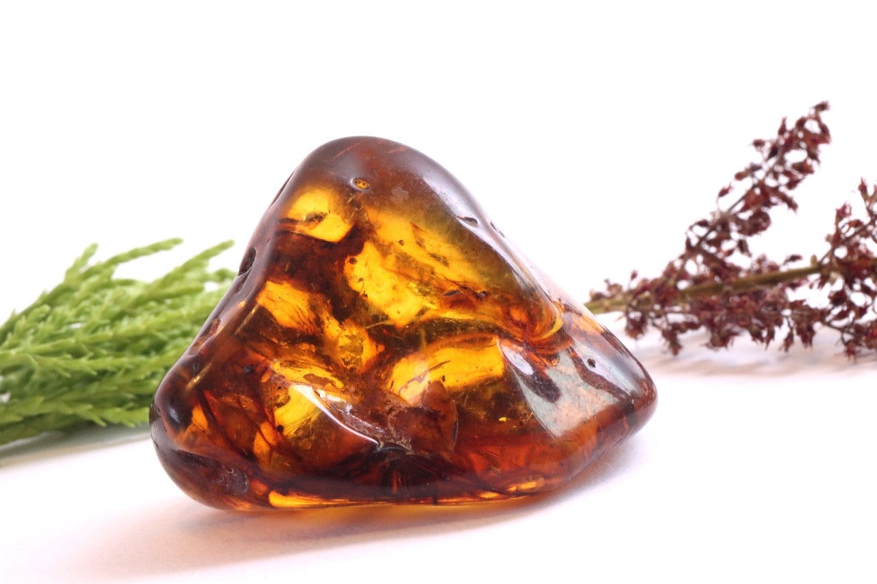 Smooth Fossil Gem with Energy Wellness