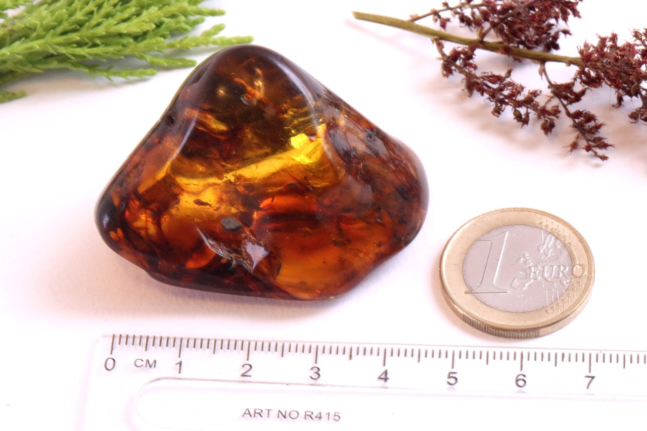 Smooth Fossil Gem with Energy Wellness