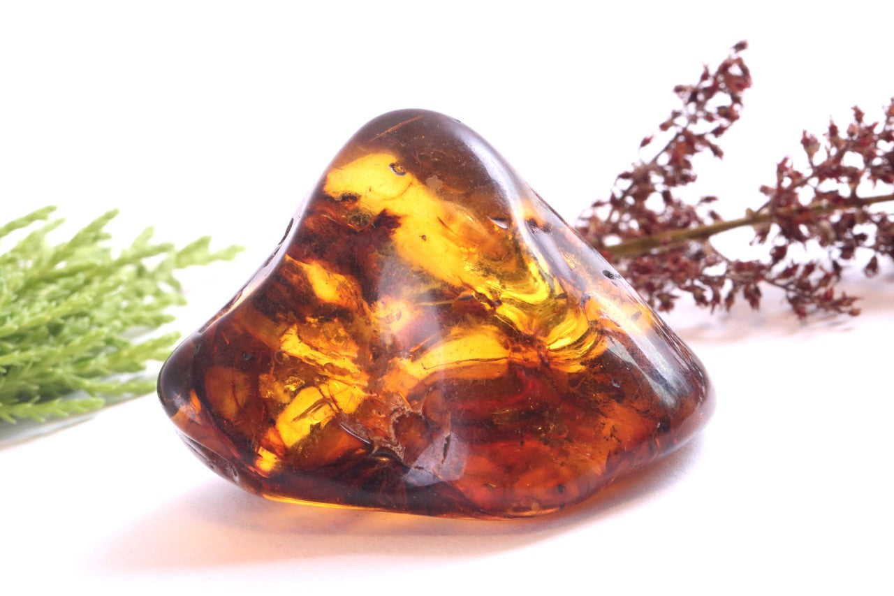 Smooth Fossil Gem with Energy Wellness