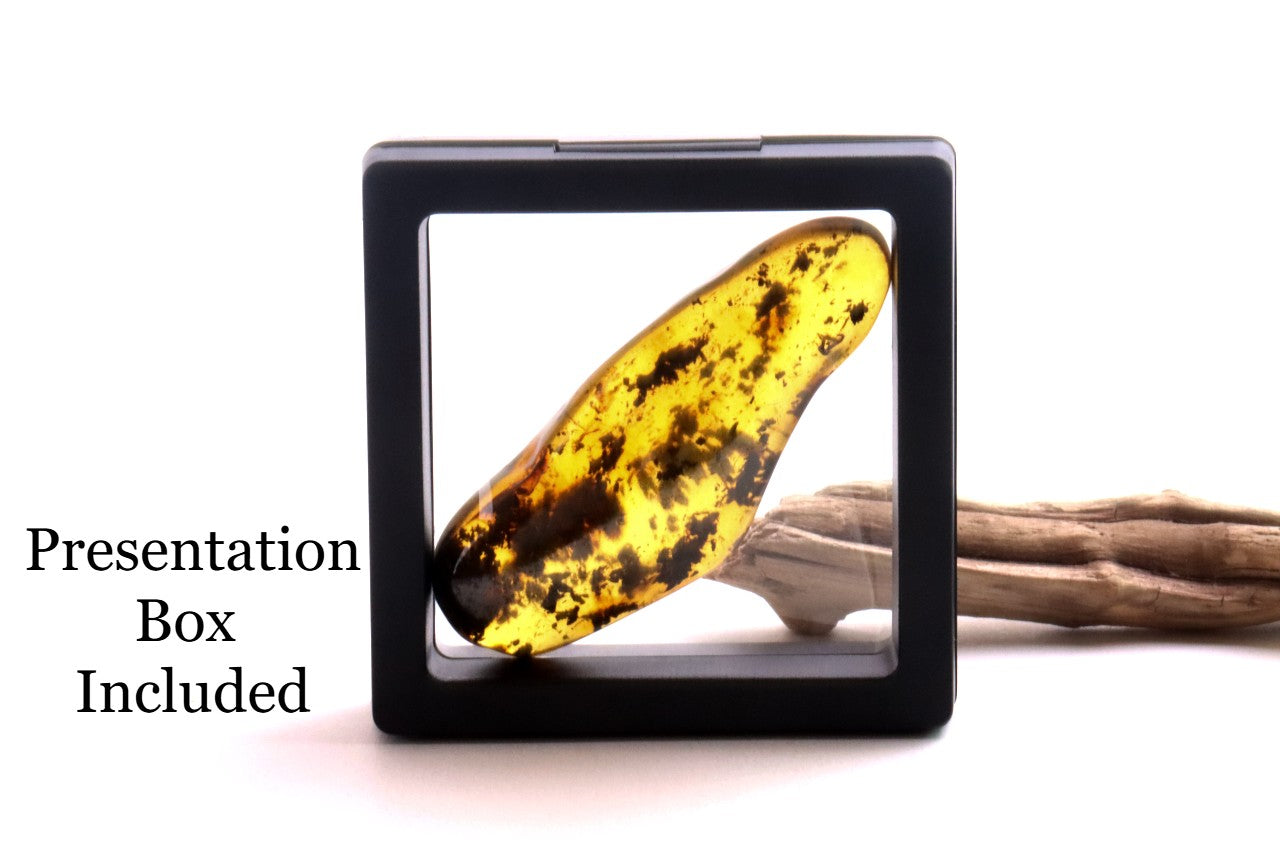 Natural Amber Worry Stone – One-of-a-Kind