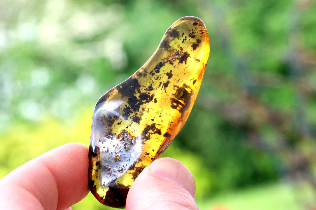 Natural Amber Worry Stone – One-of-a-Kind