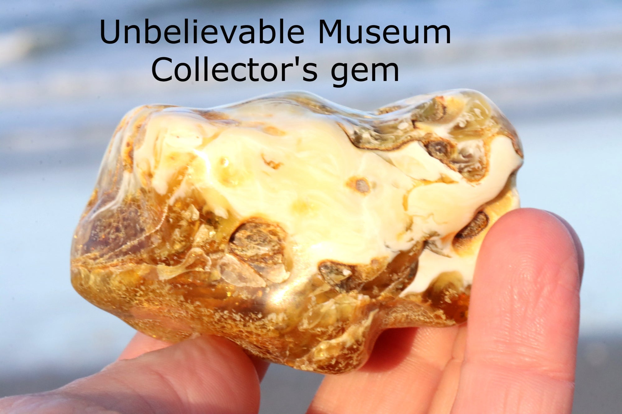 Unbelievable Museum Collector's gem