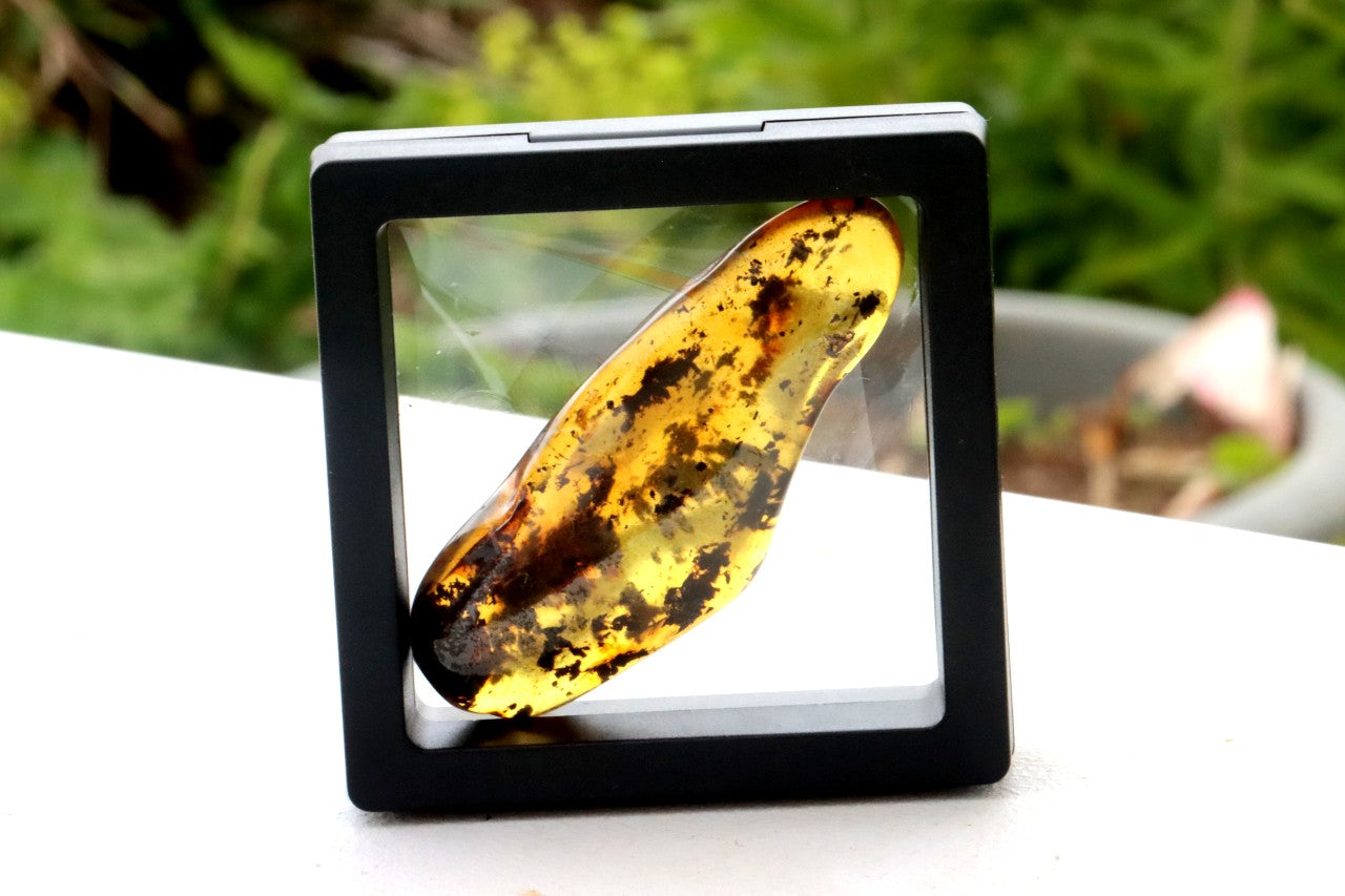 Natural Amber Worry Stone – One-of-a-Kind