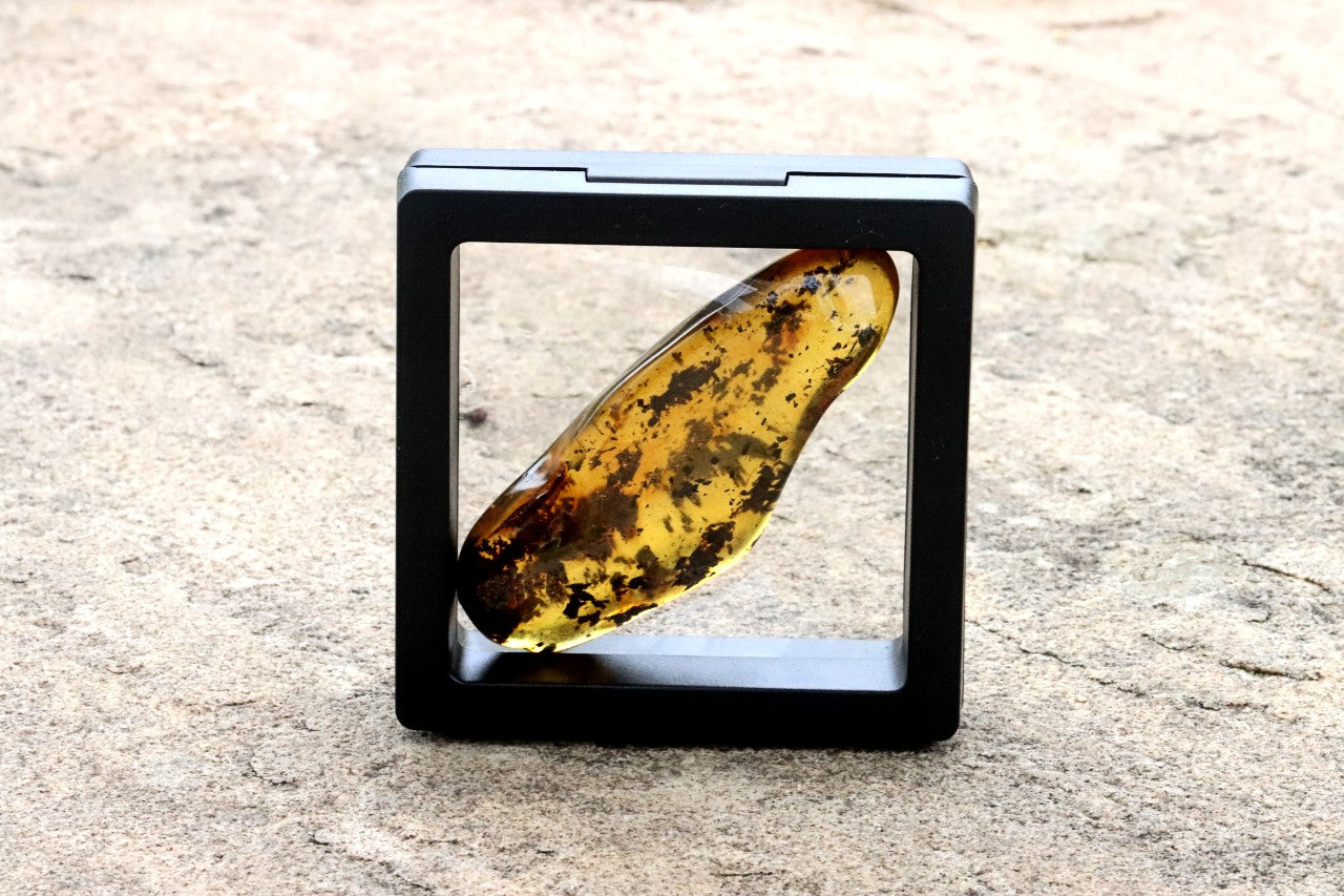 Natural Amber Worry Stone – One-of-a-Kind