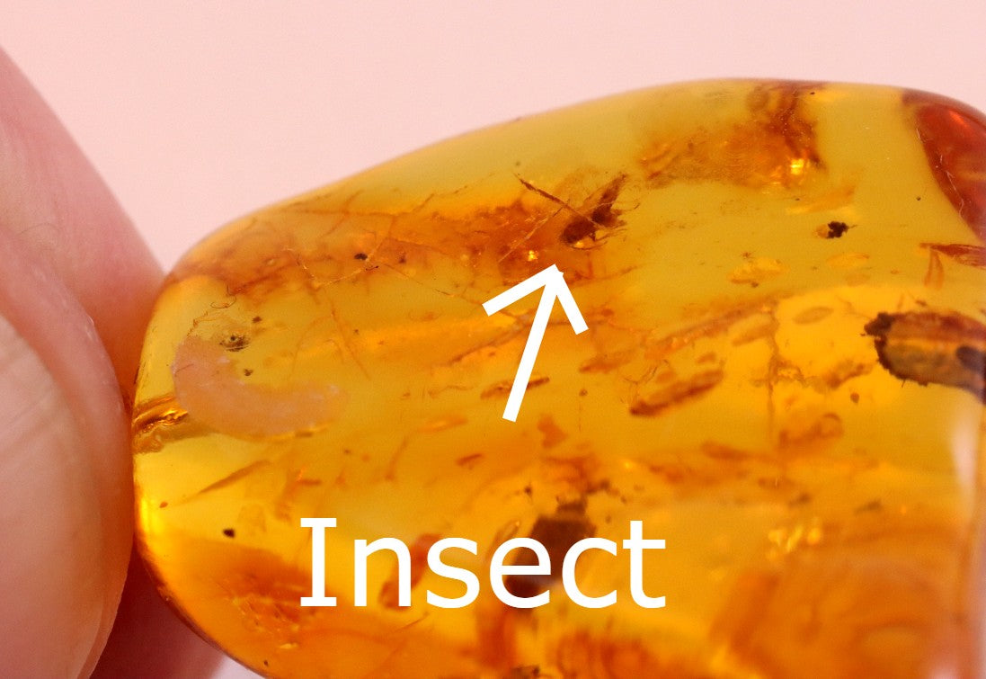 Golden Amber Pendant with Insect