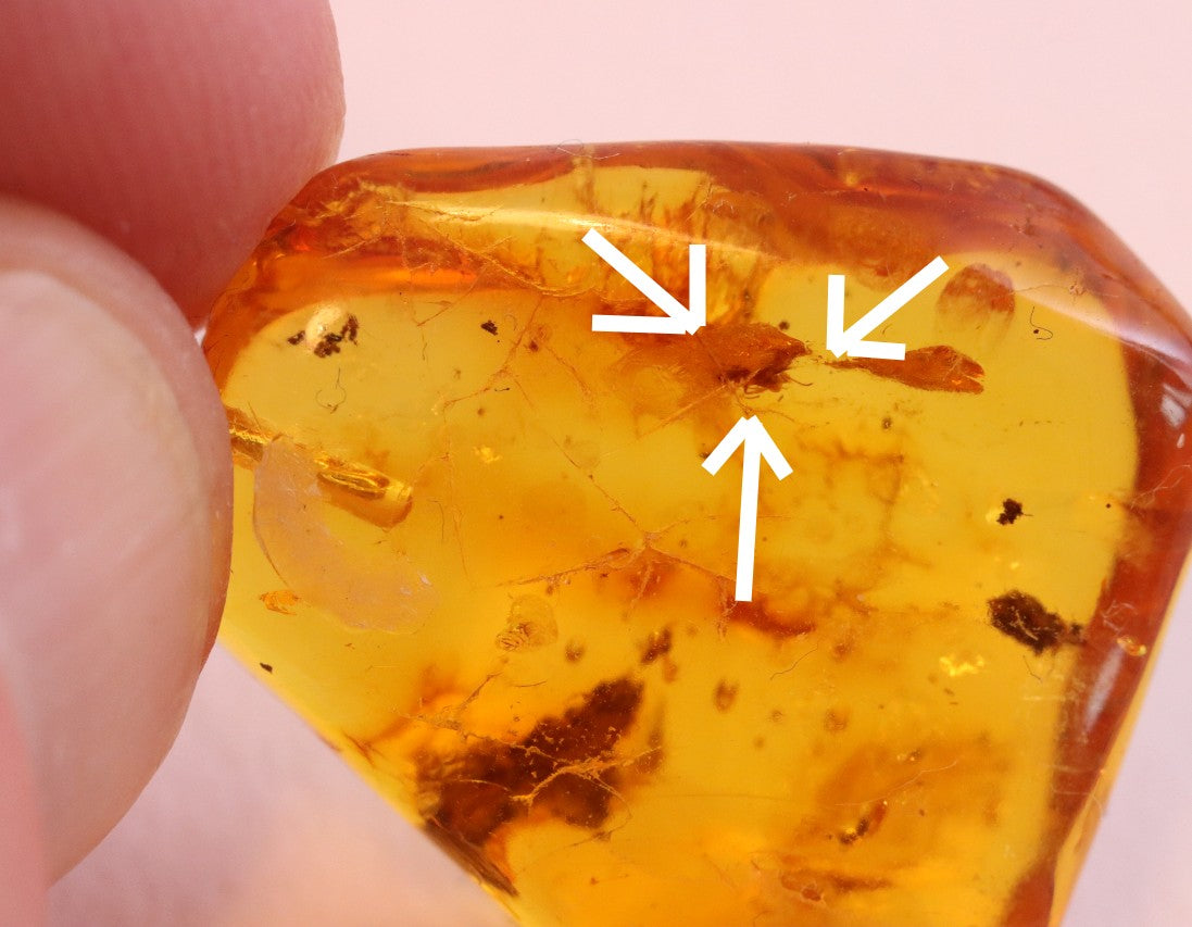 Golden Amber Pendant with Insect