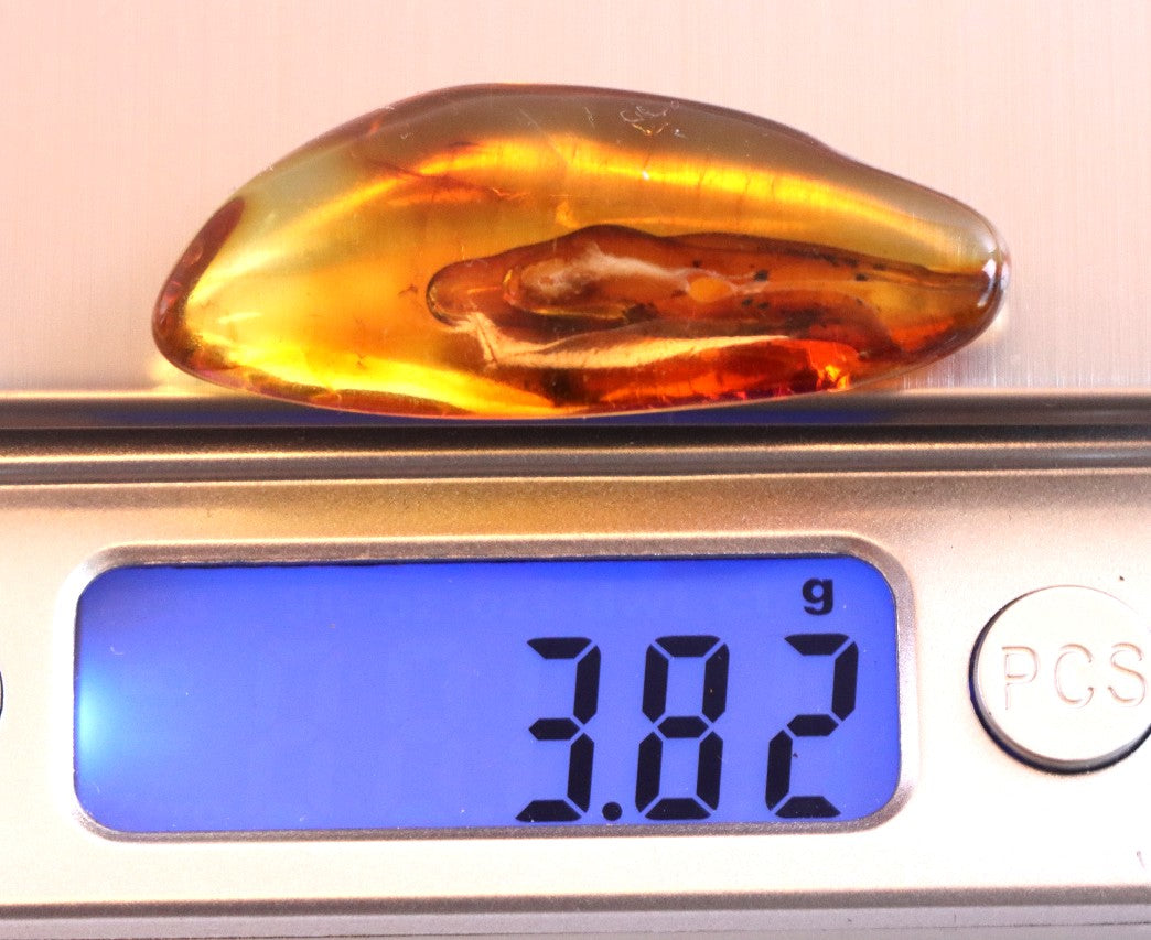 Baltic Amber Inclusion Collector's Gem