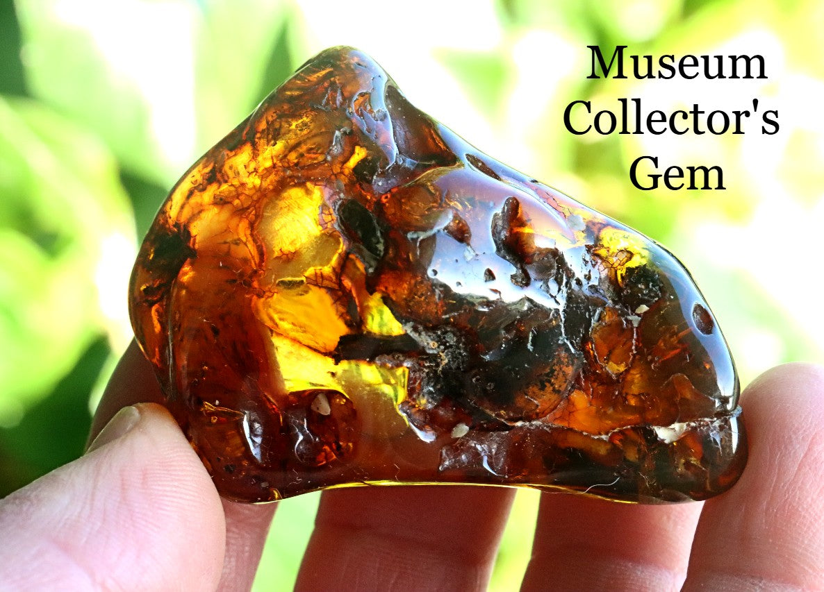 Natural Amber Gemstone Museum Collector's Piece