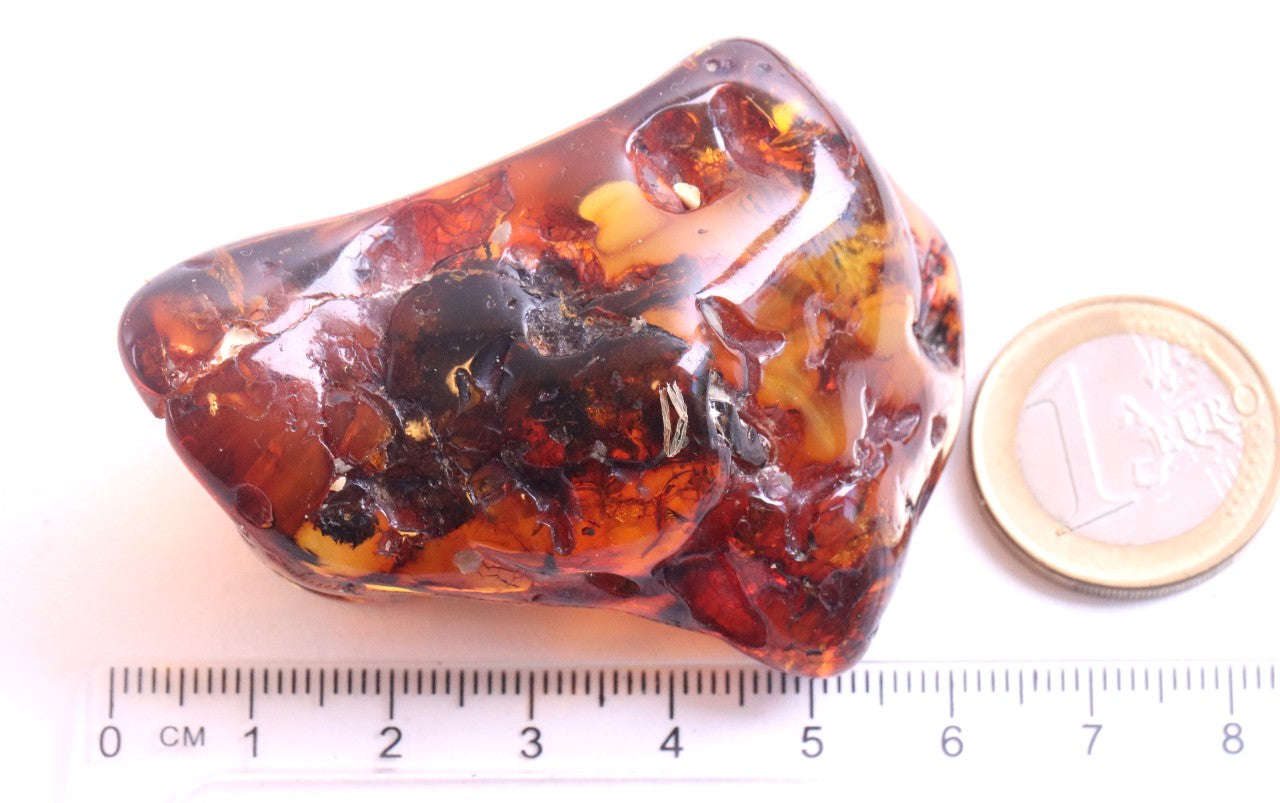 Natural Amber Gemstone Museum Collector's Piece