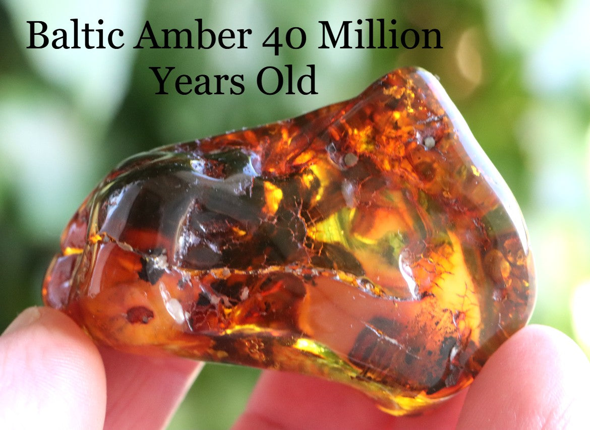 Natural Amber Gemstone Museum Collector's Piece