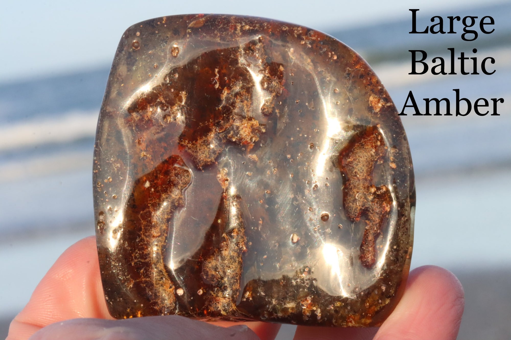 Unbelievable Large 79g Collector's Baltic Amber Gem