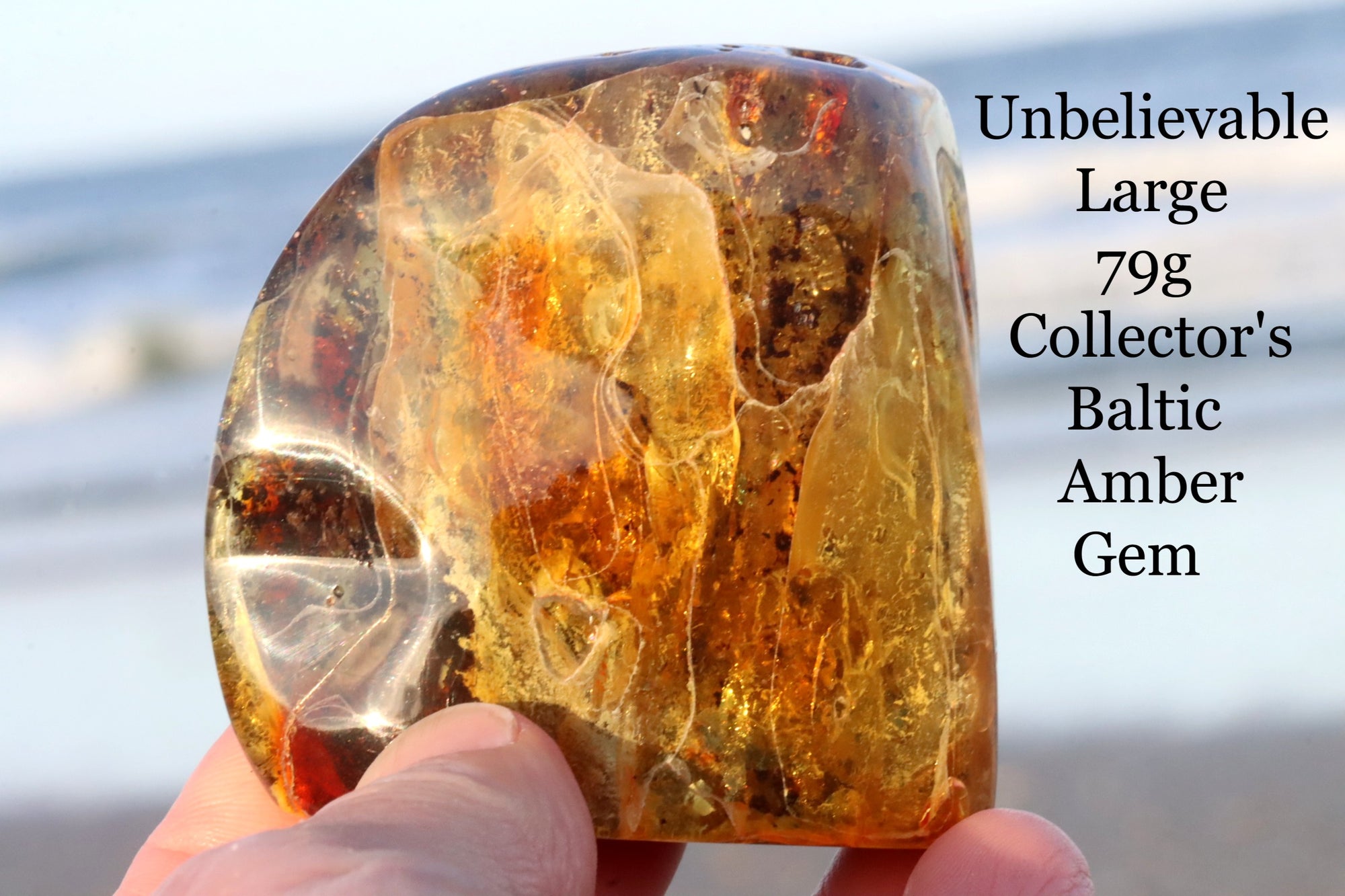 Unbelievable Large 79g Collector's Baltic Amber Gem