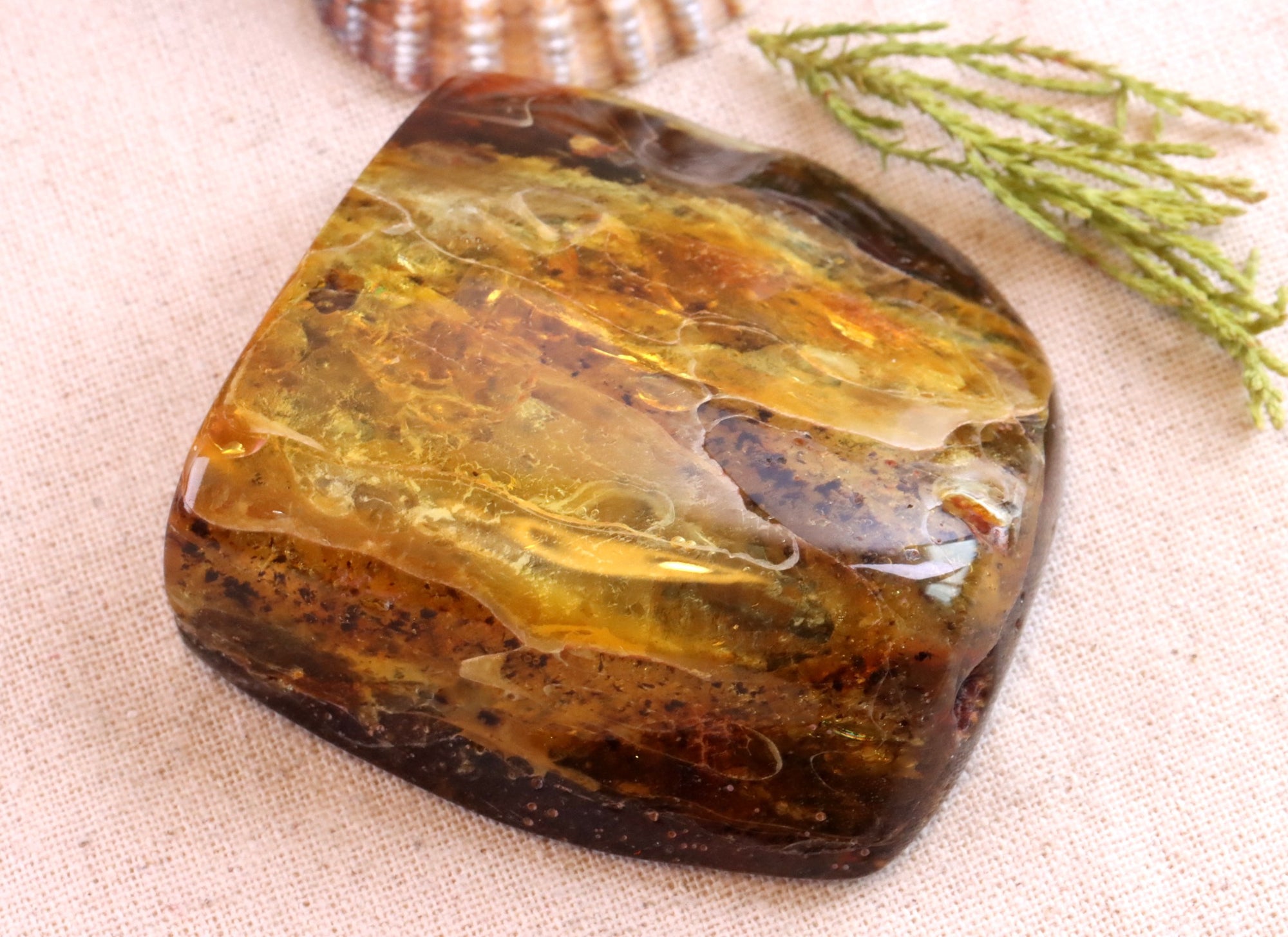 Unbelievable Large 79g Collector's Baltic Amber Gem