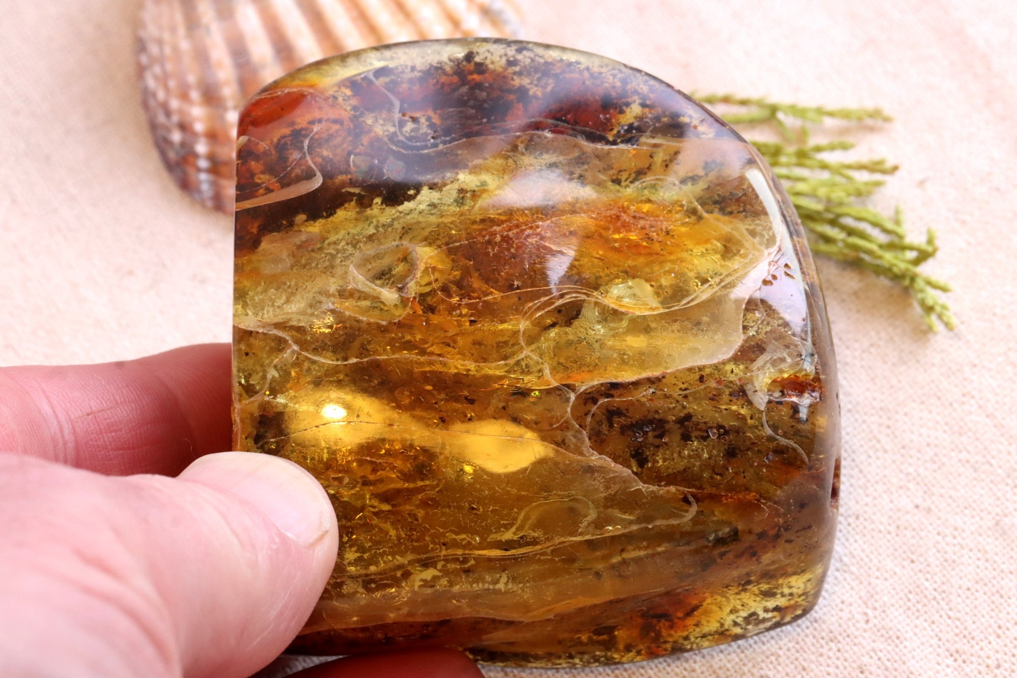 Unbelievable Large 79g Collector's Baltic Amber Gem