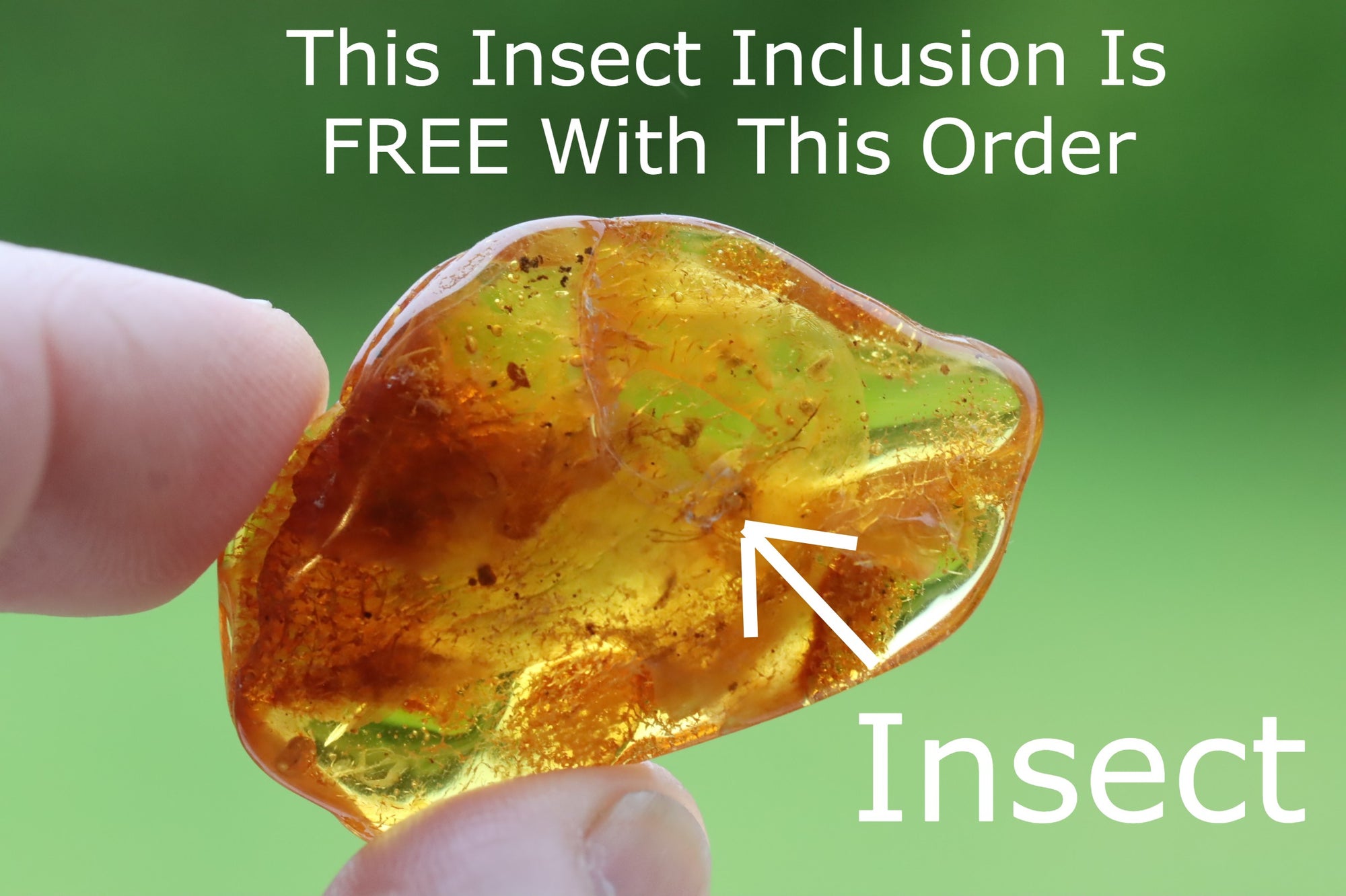 Unbelievable Large 79g Collector's Baltic Amber Gem