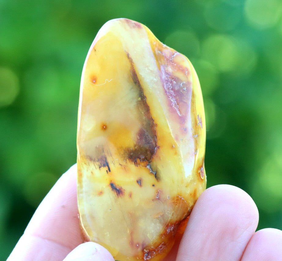 Smooth Natural Baltic Amber Gemstone