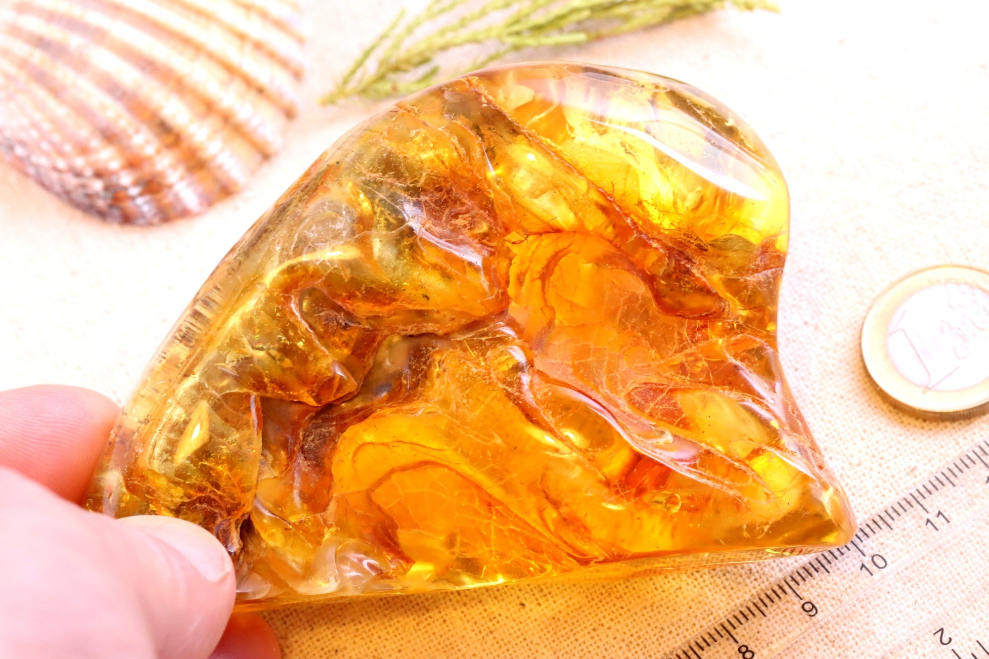 Unbelievable Large 117.9g Amber Stone Collector's Gem