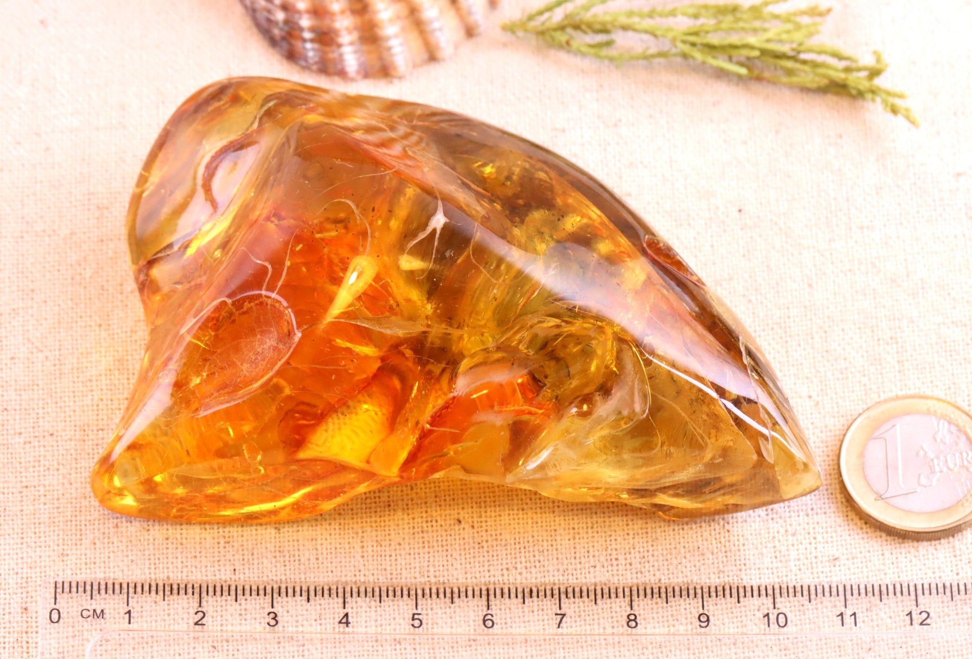 Unbelievable Large 117.9g Amber Stone Collector's Gem