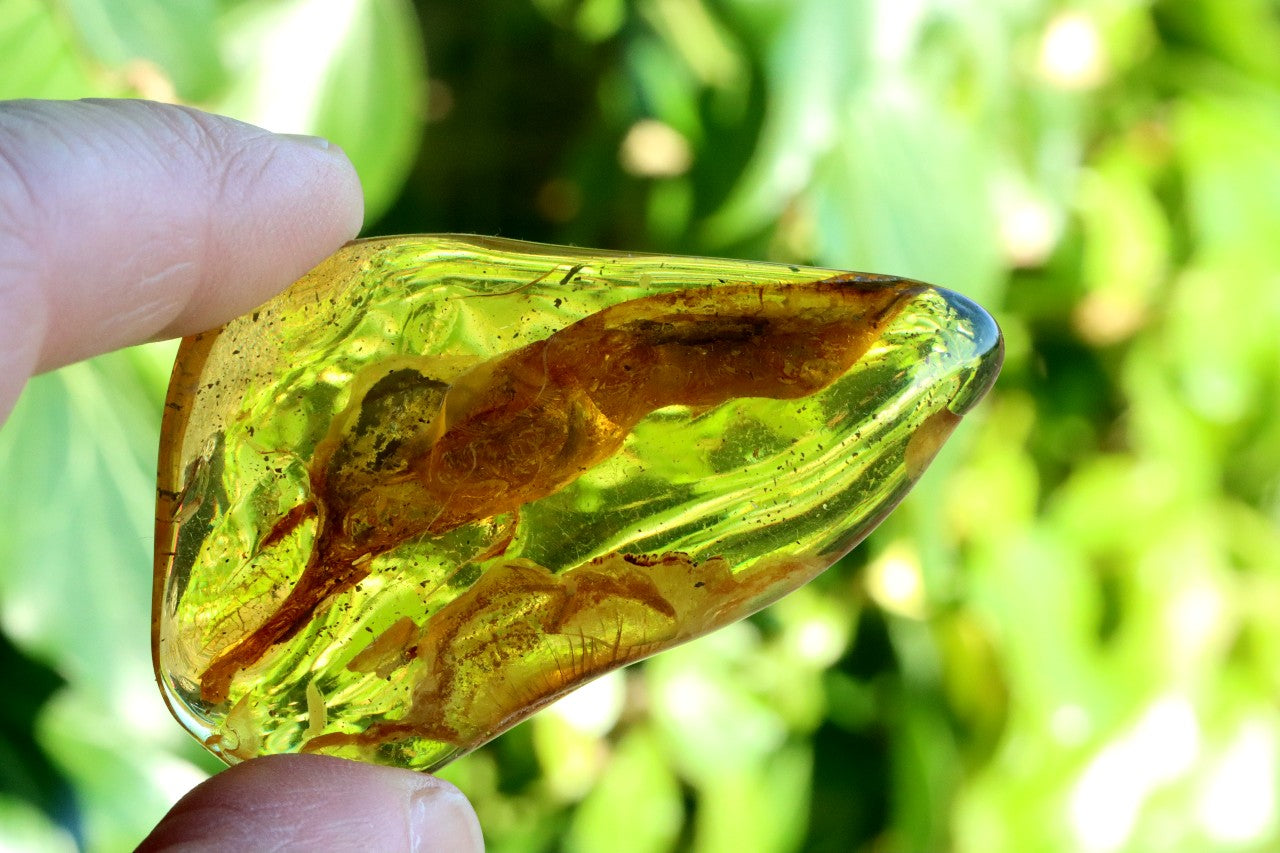 Smooth Baltic Amber Gemstone