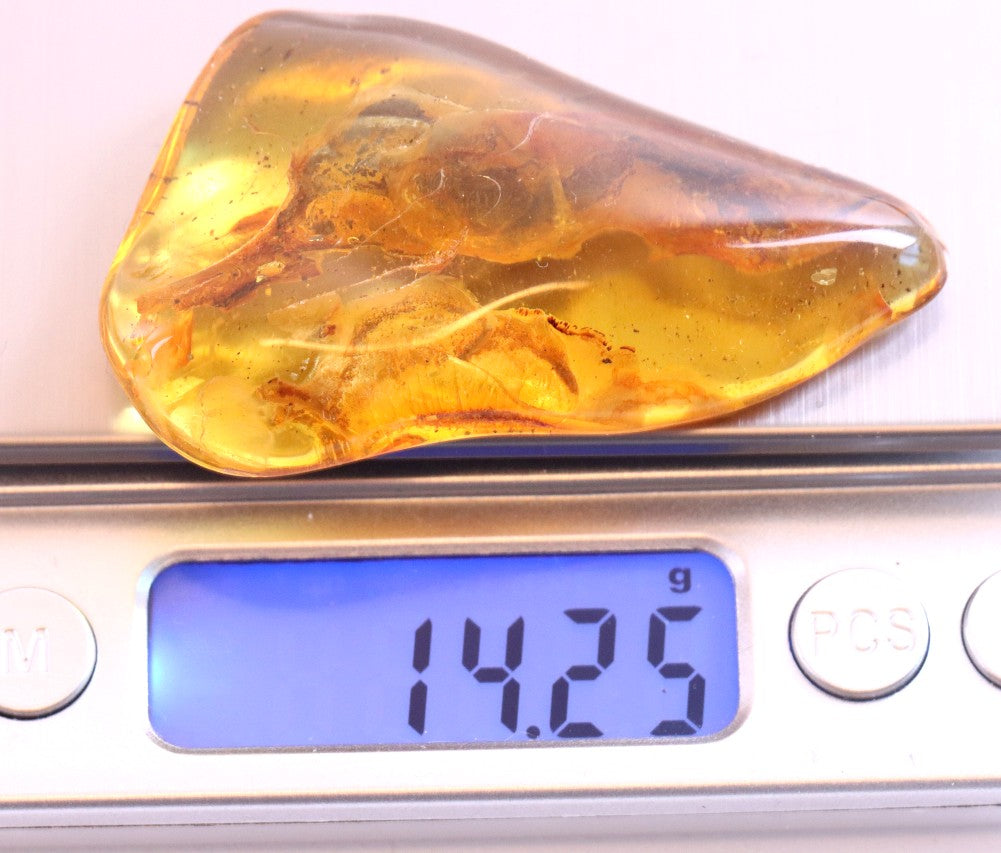 Smooth Baltic Amber Gemstone