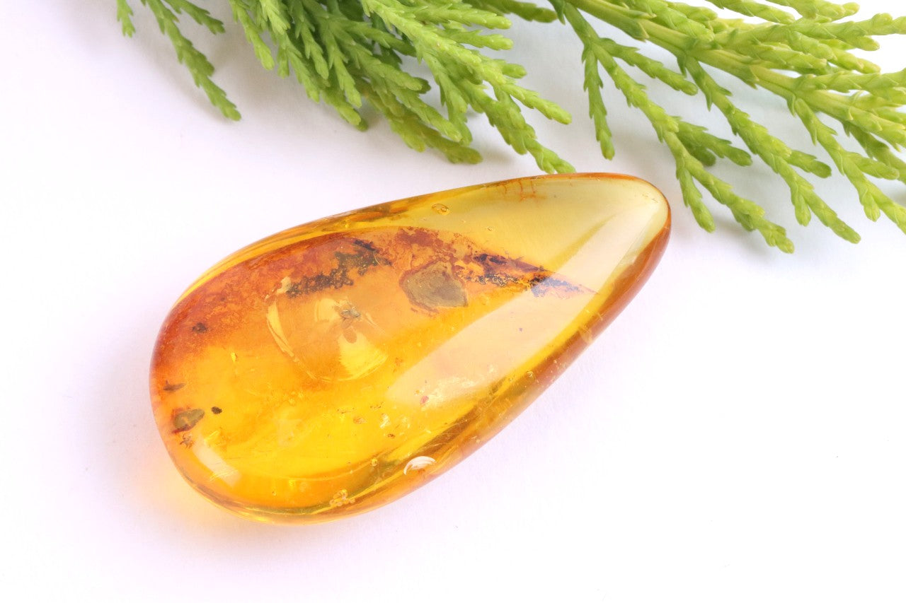 Polished Baltic Amber with 3 Insect Inclusions